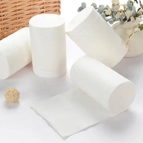 Is toilet paper better in water or not in water (2)